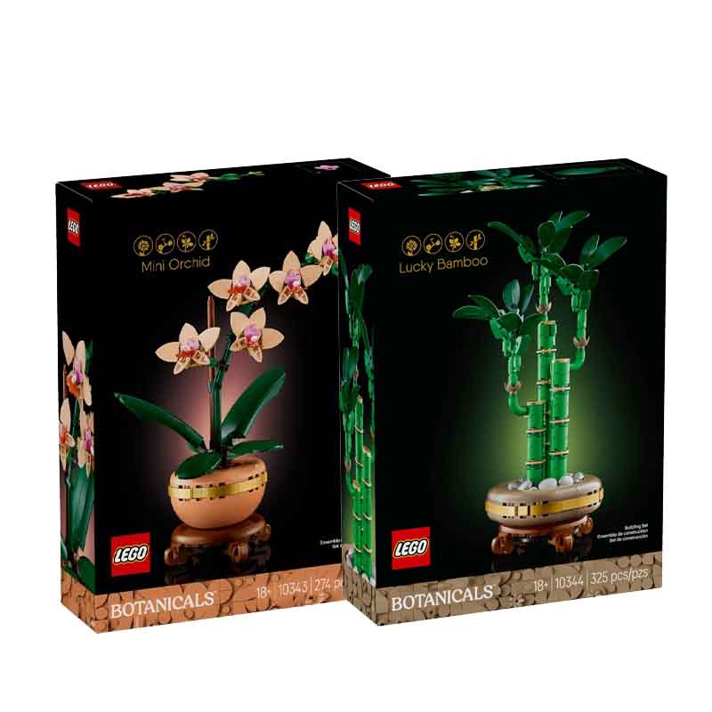 Конструкторы LEGO "Цветочный Букет" - Boxette Shop